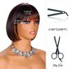 YYHR Short Bob Wig With Bangs 10" Peek-a-boo Dark brown Mix Light brown Bob Wigs Yaki Straight Hair Daily Costume Wig, Soft Light Synthetic Hair Replacement Wigs (10 Inch,S4/30)