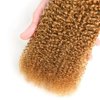 24 26 28 Inch Color #27 Bundles Honey Blonde Curly Human Hair Bundles Color #27 Kinky Curly Bundles Human Hair Weave Honey Blonde Bundles Remy Hair Extensions