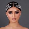JHOO Bride Headpieces for Wedding Diamond Wedding Headpiece-Silver Rhinestone-Leaf Shape(silver)