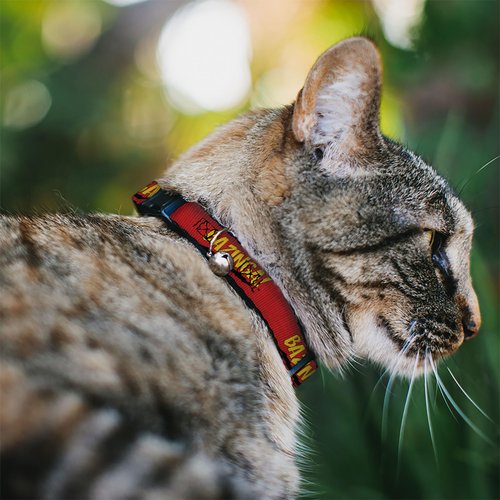 Cat Collar Breakaway Bazinga Red Gold Black 8 to 12 Inches 0.5 Inch Wide