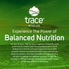 Trace Minerals | Power Pak Electrolyte Powder Packets | 1200 mg Vitamin C, Zinc, Magnesium | Boost Immunity, Hydration and Natural Energy | Lemon Lime | 90 Packets