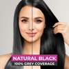 Vcare Shampoo Hair Color, Black, 25Ml