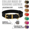 BRONZEDOG Leather Dog Collar with QR ID Tag Basic Pet Collars for Small Mini Dogs Cats Puppies (9-11 Inch (Pack of 1), Black & Gold Buckle)