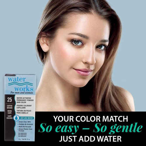 Water Works Powder Hair Color, Permanent, Coffee Brown, 3 packs