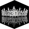 TOBATOBA 30th Birthday Crown 30th Birthday Decorations for Her Birthday Tiara with 30 Letters 30th Birthday Gifts for Her 30th Birthday Dress Outfit for Women Happy 30th Birthday