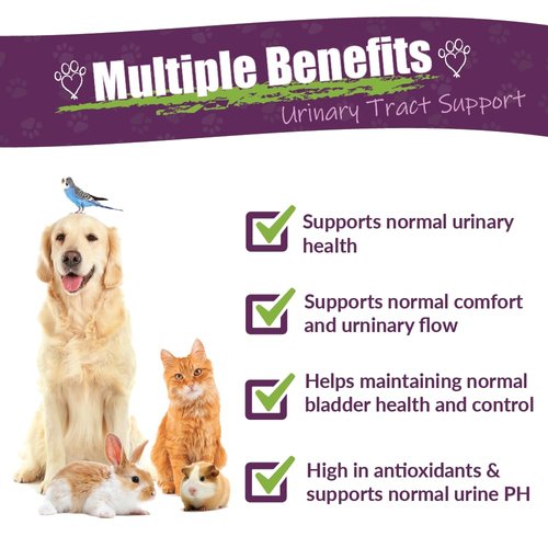 AMBER NATURALZ UTR Urinary Tract Herbal Supplement for Dogs, Cats, Birds, Guinea Pigs, and Rabbits | Pet Herbal Supplement for Bladder Support | 4 Fluid Ounce Glass Bottle | Manufactured in The USA