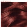 Adore Semi Permanent Hair Color - Vegan and Cruelty-Free Hair Dye - 4 Fl Oz - 076 Copper Brown (Pack of 1)