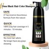 Dexe Hair Dye Shampoo 13.5 Fl Oz, Semi-Permanent Black Hair Dye, Hair Color Shampoo, Black Hair Shampoo For Men & Women, Mild Plant Formula Black Hair Dye Shampoo, 100% Gray Coverage (black)