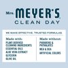 MRS. MEYER'S CLEAN DAY Variety, 1 Mrs. Meyer's Liquid Hand Soap 12.5 OZ, 1 Mrs. Meyer's Liquid Hand Soap, 12.5 OZ, 1 CT (Snow Drop + Gingerbread)