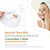 Natural Chemist Cucumber & Aloe Sheet Face Mask - Cools & Calms Stressed Skin, Reduces Puffiness, Moisturizing & Nourishing Sheet Mask - Cruelty Free Korean Skin Care For All Skin Types - 5 Masks