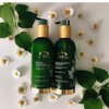 Kerarganic Keratin Shampoo Maintenance +Conditioner Post-Straightening Premium Set 250ml/8.4floz