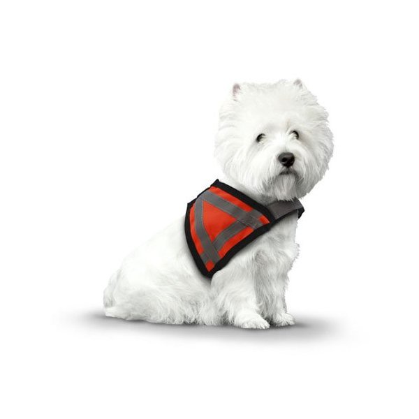 AKC Pet Safety Vest with Reflective Stripes, Small, Orange