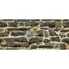 Black Rock/HD Stone Aquarium Background 18" x 48" / 55 FGallon/Rocky Fish Tank Background