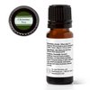 Plant Therapy Christmas Tree Holiday Essential Oil Blend 100% Pure, Undiluted, Natural, Therapeutic Grade 10 mL (1/3 oz)