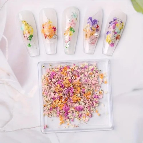 3D Dried Flowers for Nails, Spring Flower Nail Art Stickers 1Box Mixed Dried Flowers for Resin Crafts Colorful Small Natural Flower Dried Floral Nail Decals Charms for Summer Nail Art Decorations