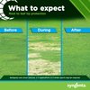 Syngenta Tenacity Herbicide - Pre-Emergent and Post-Emergent Weed Control, 8-oz. Liquid Weed Killer for Lawns and Turf Grasses, Active Ingredient Mesotrione Herbicide