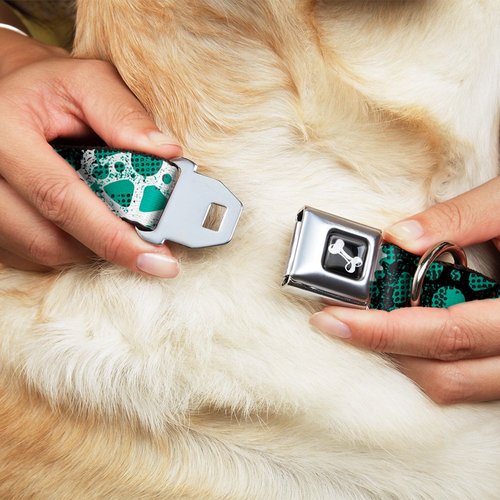 Dog Collar Seatbelt Buckle Grunge Gears Green 15 to 26 Inches 1.0 Inch Wide