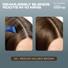 Clairol Root Touch-Up by Nice'n Easy Permanent Hair Dye, 5G Medium Golden Brown Hair Color, Pack of 2