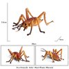 Flormoon Realistic Animal Figures Cricket Figurines Insect Toy, Science Project, Cake Topper, Early Educational Toys Birthday for Toddlers Kids Age 3 4 5