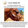 I.C.E. Halter ID Wraps Around a Flat or Rope Halter and Provides Your Emergency Contact Info to First Responder. Ideal for Everyday Use as well as for Natural Disaster Preparation (Large)