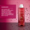 Perlier Pomegranate Micellar Water 200 ml, 6.7 Fl Oz made in Italy [italian import]