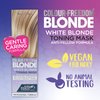 Blonde Hair Toner. Professional Deep Conditioning Hair Mask that Neutralizes Yellow & Brassy Tones. Cruelty Free & Vegan. By Knight & Wilson. 5.07 Fl Oz
