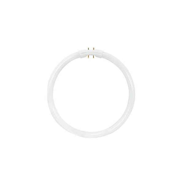 Sylvania 20712 - FPC22/835 Circular T5 Fluorescent Tube Light Bulb