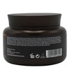 Gold Series Treatment Mask – Deep Hydrating Argan Oil Hair Mask for Dry, Damaged, Color Treated and Curly Hair Enriched with Keratin – Sulfate Free Natural Hair Repair Treatment, 8.45oz