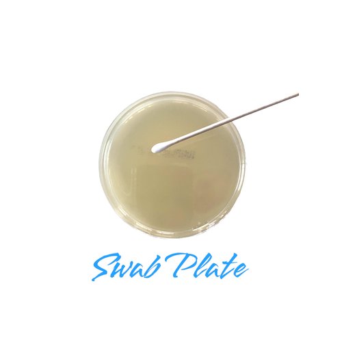 Student Microbiology Science Kit. Grow Bacteria for Science Experiments. STEM Education. Pre-Poured Agar Plates (100mm) with Swabs. Project Guide eBook Available.
