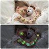 AOMIG Temporary Tattoo for Kids, 10 Sheets Glow In The Dark Cartoon Dinosaur Tattoo Stickers, Waterproof Luminous Fake Tattoo Stickers Set for Boys Girls Birthday Party Bag Filler