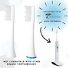 ToiletTree Products Poseidon Replacement Brush Heads for Poseidon Rechargeable Sonic Toothbrush, 2 Pack