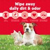 Petkin Pet Wipes for Dogs and Cats, 100 Large Wipes - Removes Dirt & Odor Like Washing Hands - Cleans Ears, Face, Butt, Eye Area - Convenient, Ideal for Home or Travel - 1 Pack of 100 Wipes