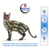 Natural & Safe Flea and Tick Collar for Small Dogs, 8 Months Protection, Waterproof, 13.8 inch, One Size Fits All, Free Comb and Tick Removal Tool, Prevention Treatment Drop, Charity! (1-Pack).