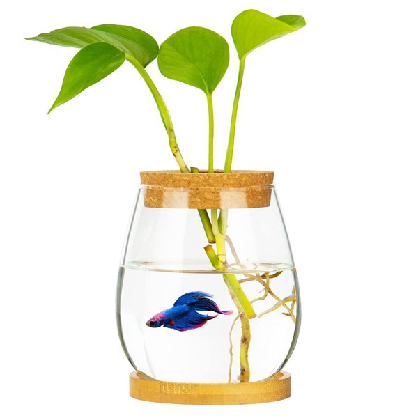 Desktop Fish Bowl Clear Glass Small Fish Tank with Wood Lid and Bamboo Stand for Betta Fish Plants Terrarium Home Office Decoration Gifts