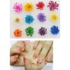 XICHEN 120 PCS/ 2Boxes Five Flower Flower Three-Dimensional Applique 3D Nail Stickers Nail Supplies Dried Flowers（Starry and Five Flower）
