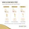 Natural Foot Orthotics. Podiatrist Designed for Low to Flat Feet. Recommended for Plantar Fasciitis, Heel Spurs, Bunions, Neuromas, & Hammertoes. USA Made. Slim Stabilizer Arch Support Shoe Insoles