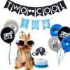 Two Cool Birthday Party Decorations Supplies, Two Cool Banner Cake Topper, I AM TWO Banner, Two Cool Balloons for Little Man Sunglasses 2nd Birthday Boy Party Supplies Decoration