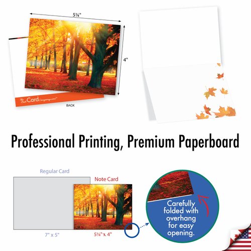 The Best Card Company - 10 Beautiful Note Cards Blank (4 x 5.12 Inch) - Fall and Autumn Season, Boxed Notecard Assortment - Fall Foliage M4971OCB-B1x10