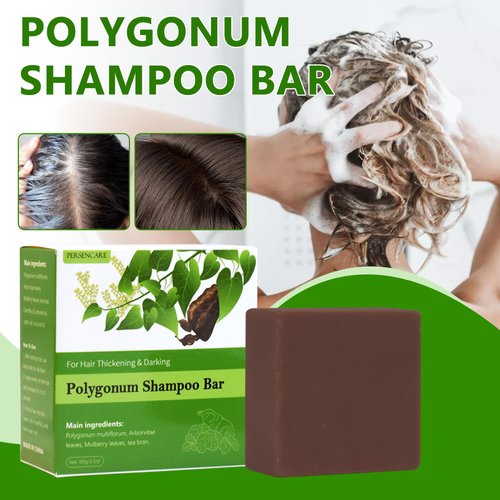 2 Pcs Natural Polygonum Multiflorum Solid Shampoo and Conditioner Set, He Shouwu Volumizing Gray Hair Reverse Darkening Soap, Organic Fo Ti Bar for Thinning Hair Growth, for Men & Women All Hair Type