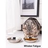 VENTION Stainless Steel Cat Bowls, Whisker Fatigue Cat Bowl, Metal Cat Dishes, Shallow Cat Food Dish