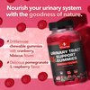 VITAMIZED Potent Cranberry Gummies 1500mg with D Mannose - Urinary Tract Health for Women & Men, Urinary Flush & Bladder Fast-Acting Support Supplements with Hibiscus Powder, 60 Count