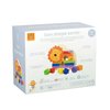Orange Tree Toys Lion Shape Sorter
