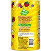 NUTRAMIN Energy Boost Vitamin Gummy - Skip The Coffee & Boost Your Energy, Caffeine-Free, Sugar-Free, Vegan, B12, Green Tea, Ashwagandha, Garcinia Cambogia, Raspberry Adaptogen - 90 ct