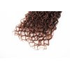Aipin Goddess Locs Crochet Hair 14 Inch River Locs Boho Hippie Locs Wavy Crochet With Curly Hair In Middle And Ends Braids Hair Extensions (7Packs,14 inch, T30)