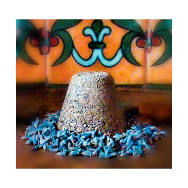 Herbes de Provence Seasoning from the European Collection by Merchant Spice Co.