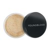 Mineral Rice Setting Powder - Dark by Youngblood for Women - 0.42 oz Powder