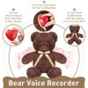 Hungdao Stuffed Animal with Voice Recorder, 60 Seconds Sound Module, 16 Inch Soft Plush Bear, Recordable Heart for Boys Girls (Dark Brown)