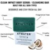 ATWATER Clean Impact Mens Soap Bar - Exfoliating Bar Soap for Men Enriched with Jojoba Seed Oil and Coconut, Natural Mens Soap with No Added Artificial Fragrances - 207 grams / 7 oz