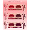 LYSdefeu Matte Liquid Lipstick Lip Gloss Kit-6Pcs Dark Ruby Red Berry Plum High Pigmented Lip Tint Stain,Longlasting Waterproof Non-stick Cup Lipgloss 24H Stay Lipstain,Makeup Gift for Women-SetB