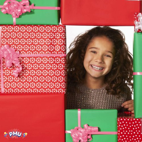 PMU Curling Ribbon - Crimped Texture Curling Ribbons for Gift Box Wrapping, Florist Flowers, Birthday Party Decorations, Festival Art Craft & Christmas Décor - Azalea 3/16 Inch X 500 Yards, Pkg/3